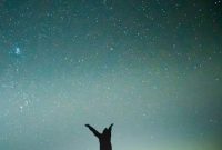 Weekly Astrology Forecast: December 13–19, 2021 — What the Stars Reveal