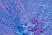 Navigating Uranus Retrograde 2021: What to Expect and How to Respond