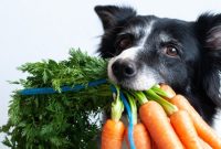 Superfood Matches for Your Chinese Zodiac Sign