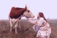 Tarot’s Alternative Animal for Each Zodiac Sign