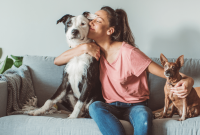 Perfect Pets for Your Zodiac Sign: Find Your Ideal Animal Match