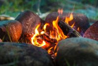 Career Tips for Fire Signs: Succeed in Work with Aries, Leo & Sagittarius