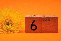 Numerology and the Number 6: What June Reveals About You