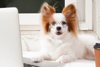 May 2020 Pet Horoscopes: Monthly Zodiac Forecasts for Your Companion