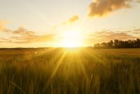 How to Use Your Rising Sign to Embrace and Navigate Change