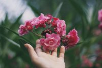 Chinese Zodiac Palmistry: Insights from the Fourth Trine