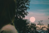 Full Moon in Taurus Tarot: 4-Card Spread for Grounding