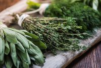 Herb to Use for Your Zodiac Sign: Personalized Plant Guide