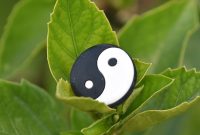 Yin and Yang Explained: A Practical Guide to Balance and Harmony