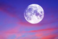 Rise to New Heights: Rose Full Moon in Sagittarius Guide