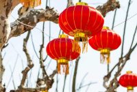Understanding the 4 Trines in Chinese Astrology: Meanings & Compatibility