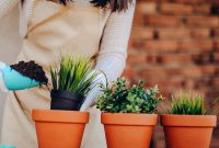 Hobby Ideas for 2019 Based on Your Zodiac Sign