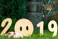 2019 Numerology and the Year of the Earth Pig: Astrology Insights