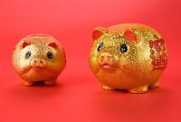 Chinese Zodiac 2019: What the Year of the Pig Means for You