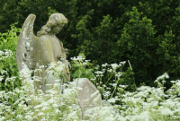 4 Ways to Connect and Communicate with Your Spirit Guides