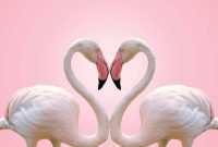 Daily Love Horoscope: What It Reveals About Your Romantic Needs