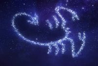 Succeeding as a Scorpio: Career, Relationships, and Personal Growth