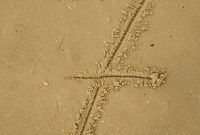 Summer Romance and the Mystery of Number 7