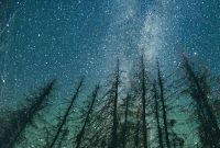 Ophiuchus: Uncovering the 13th Zodiac Sign and Its Meaning