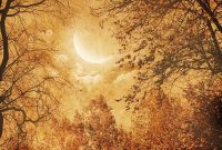 New Moon Solar Eclipse in Virgo: Start Fresh and Take Action