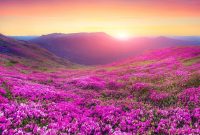 Mercury in Libra: Use Charm to Influence and Win Every Time