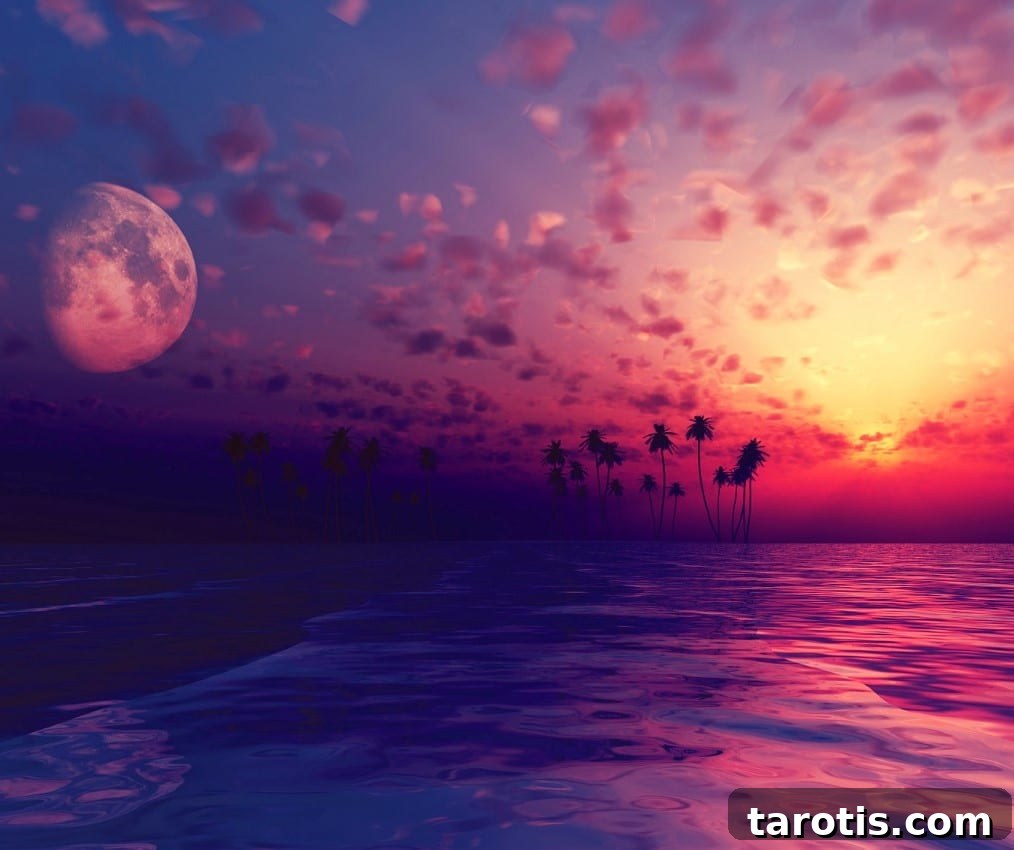 featured 37040