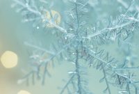 Season of Miracles: 3 Steps to Manifest Your Dream Life