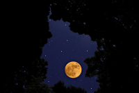 Prepare for the Intense Full Moon and Solar Eclipse: What to Expect