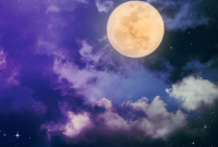 Moon in Virgo: What It Means for Each Zodiac Sign This Month