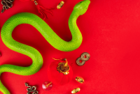Year of the Snake: Meaning, Traits, and Predictions for 2024