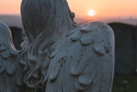 April 2025 Angel Card Reading: Guidance for Protection and Renewal