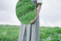 Weekly Astrology Forecast: April 14–20, 2025 — What’s Ahead for Your Sign