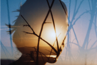 Solstice Guide: What to Know About Seasons, Solstices & Equinoxes