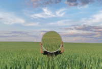 Weekly Astrology Forecast: June 16–22, 2025 — New Season Insights