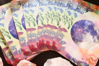 August 2025 Tarot Insights: What the Cards Reveal for You