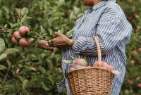 September 2025 Abundance Forecast: Will Your Future Flourish?