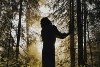November 2025 Astrology: Key Transits and Your Energy Forecast
