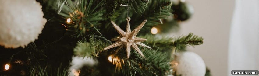 5 Ways to Embrace Renewal This Winter Solstice 5 christmas-tree