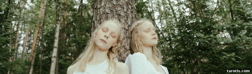 Full Moon Lunar Eclipse in Gemini: Rituals to Harness Its Magic 2 twins-in-a-forest