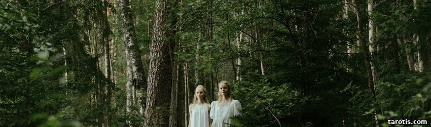 Full Moon Lunar Eclipse in Gemini: Rituals to Harness Its Magic 3 twins-in-forest-surronded-by-trees