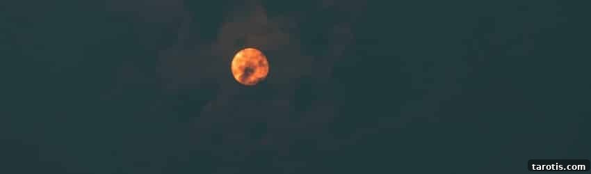 Weekly Astrology Forecast: November 16–22, 2020 2 the-sun