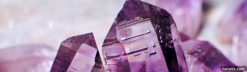 Top Crystals to Embrace Autumn Energy 3 Purple amethyst crystal points resting next to each other on a purple background.