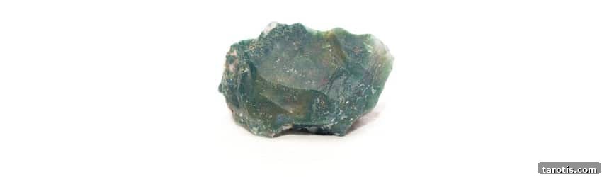 Top Crystals to Embrace Autumn Energy 6 A moss agate crystal on a white background.