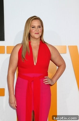 46 Famous Gemini Celebrities Who Perfectly Capture the Sign 26 Amy Schumer, Gemini actress, comedian and celebrity