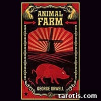 5 Cozy Books Perfect for Capricorn Readers 3 img 36559 2