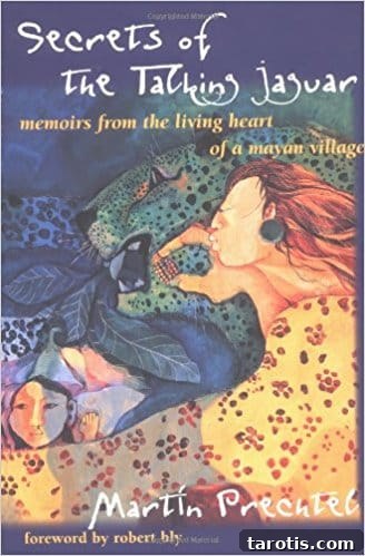 New Book Picks for Scorpios: Top Must-Read Titles for You 6 Secrets of the Talking Jaguar cover
