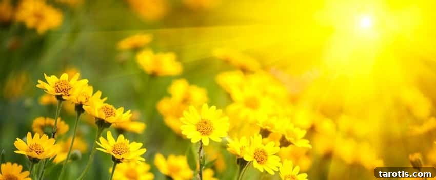 Got the Winter blahs? According to Chinese astrology, Spring is just days away. You're welcome. 