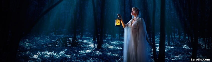 Connect with the Other Side: A Guide to Developing Mediumship Skills 5 img 37002 4