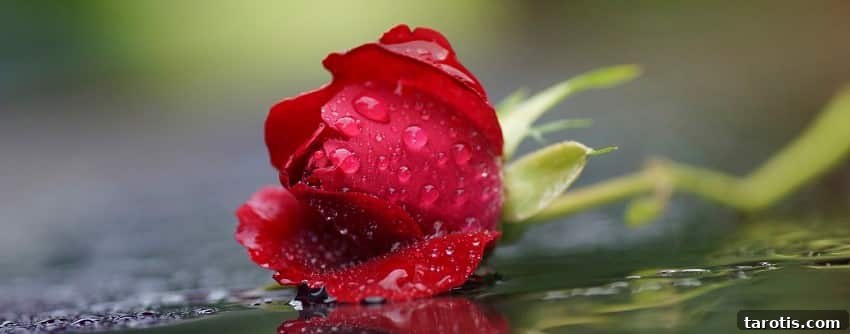 Venus in Virgo Love Compatibility: Practical Tips for Real Relationships 5 img 37047 4