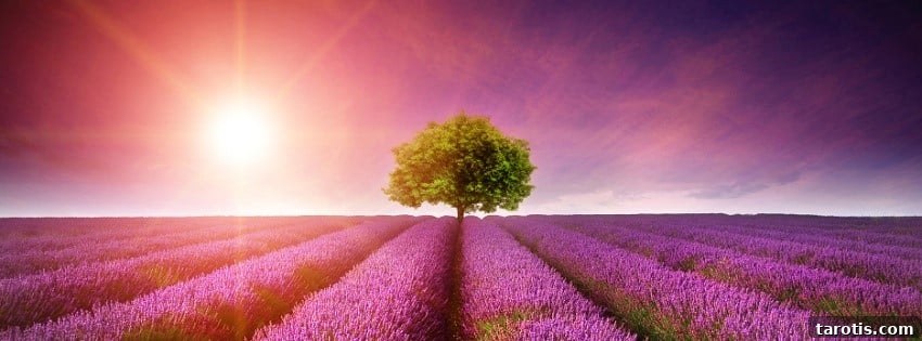 Venus in Virgo Love Compatibility: Practical Tips for Real Relationships 6 img 37047 5